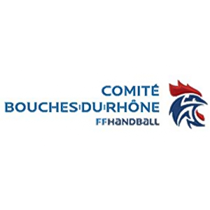 Comité 13 (Handball)